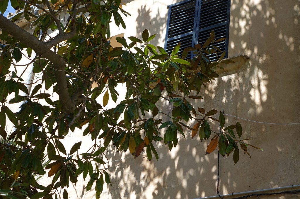 DSC02648