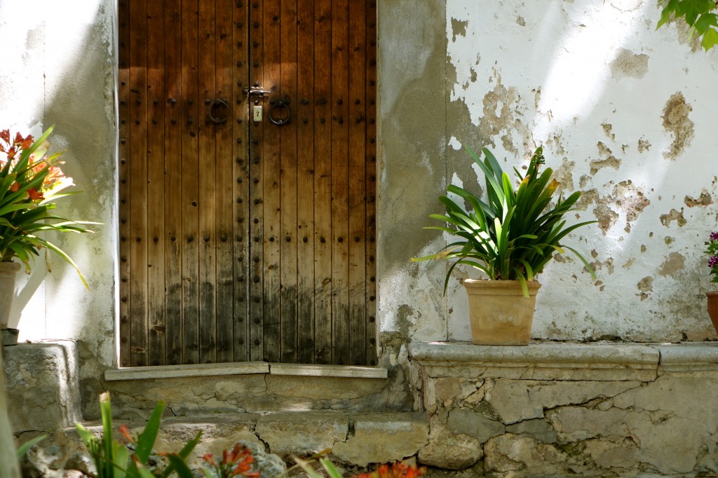 DSC02800